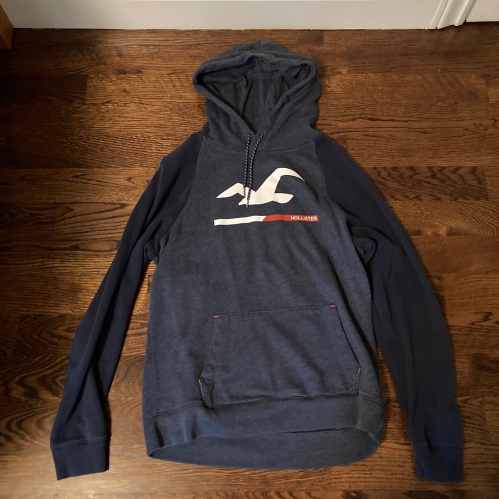 Blue Hollister Logo Hoodie